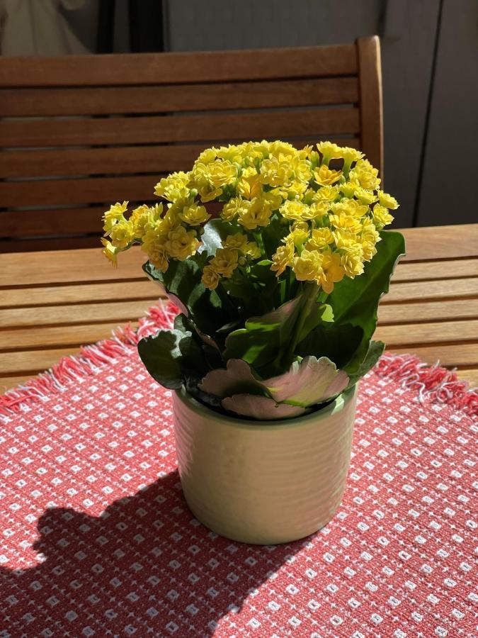 Apartament Haus Oasis Zermatt Zewnętrze zdjęcie